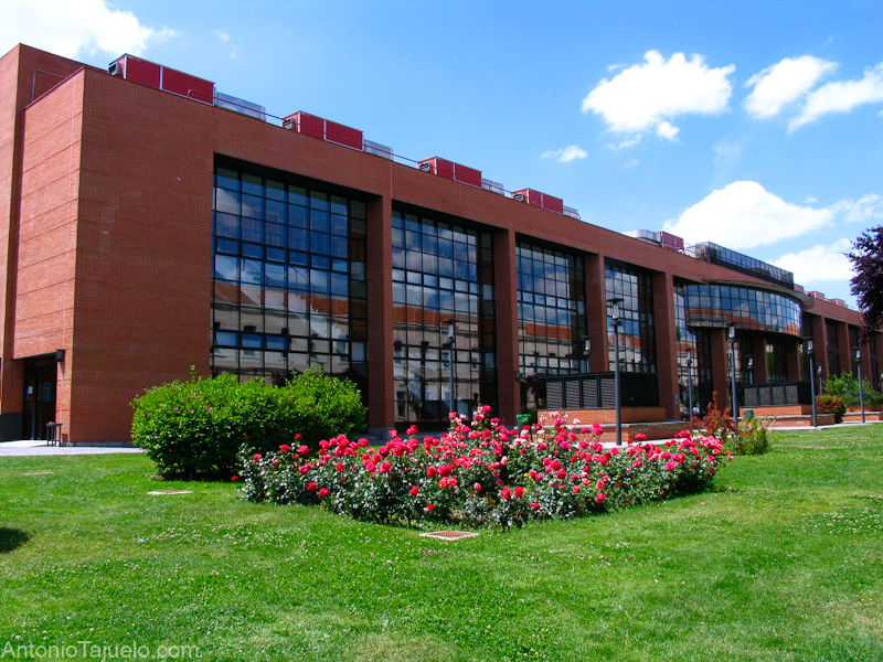 Universidad Carlos III de Madrid 4